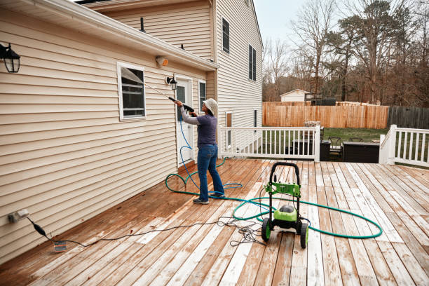 Best Power Washing Near Me  in Petal, MS