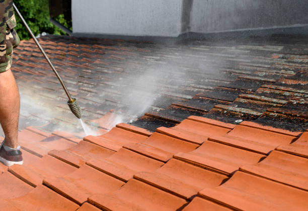Best Commercial Building Pressure Washing  in Petal, MS