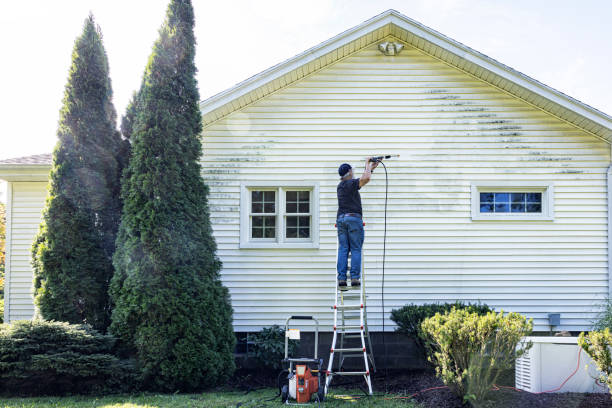 Best Affordable Power Washing  in Petal, MS