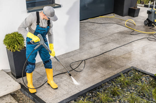 Best Exterior Home Cleaning  in Petal, MS