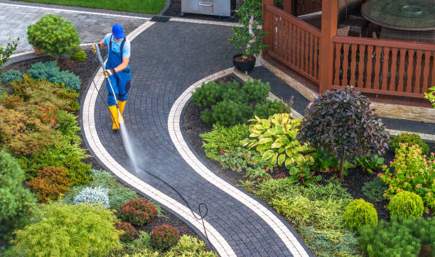 Best Pressure Washing Services for Businesses  in Petal, MS